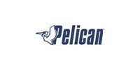 Pelican International inc.