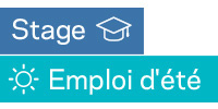 Stages et emplois d'été