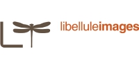 Libellule Images Inc.