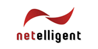 Netelligent Hosting Services Inc.