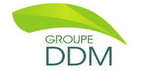 Del Degan, Massé et associés Inc.  (Groupe DDM)